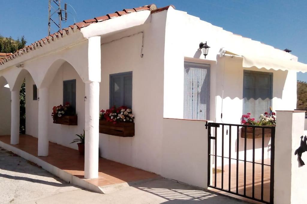 The Vine Studio Rubite  Exterior photo